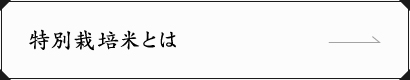 特別栽培米とは