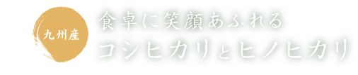 九州産　食卓に笑顔あふれるコシヒカリとヒノヒカリ